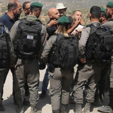 Israel apresa 18 palestinos y gasea Hebrón