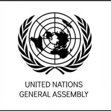 ONU apoya el derecho de Palestina a la libre autodeterminación